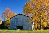 Autumn Tobacco Barn_24795